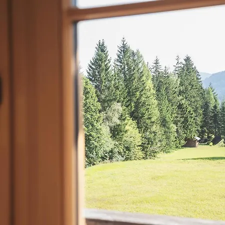 Bergidyll & Trofana Лойташ