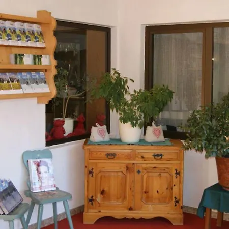 Hotel Bergidyll & Trofana 3*