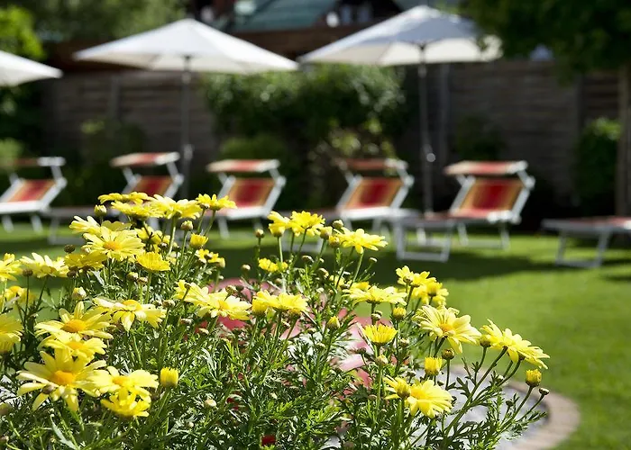 Bergidyll & Trofana 3* 로이타쉬